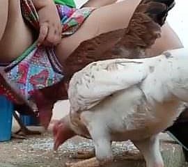 دیسی بھابی فیڈنگ مرغی ضرور دیکھیں