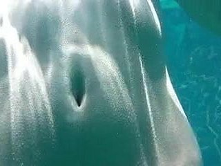 日本のソフトコア135