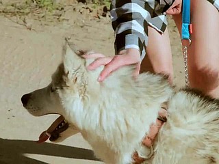 يأخذ في سن المراهقة جميلة المشي مع الكلب